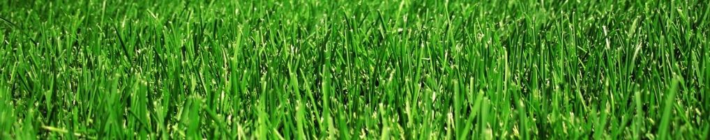 Lawn Care Services Bountiful Utah - Lawn Mowing Services