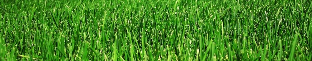 Lawn Care Services - Layton Utah - Lawn Mowing Service