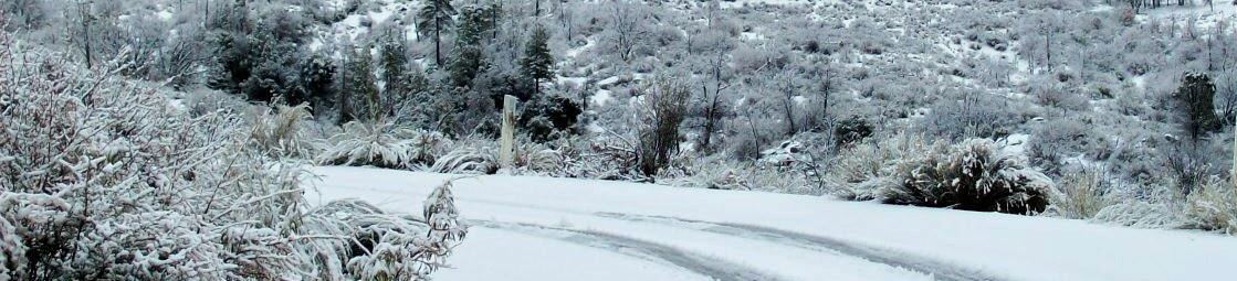 South Ogden Snow Removal Services