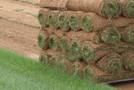 Sod Laying Services in Northern Utah 